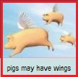* Avian and Swine Flu *  A Personal Opinion  Public Service Info about FLU....