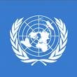 UN World Health Organization Colloidal Report (extracts)
