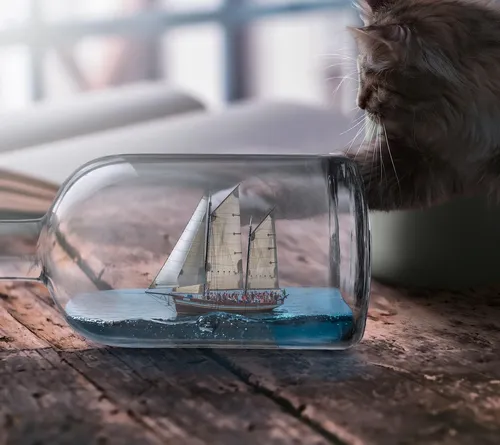 HELP YOUR PETS, Half Liter (500ml.) Unique Colloidal Formula for dogs, cats, ponies, horses and more
