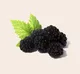 YOU AND YOUR PET - Celebrate Health Love and Vitality Together.... SAVE $34.00  (27.00% savings)