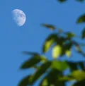 Silver Moon Springs
