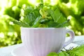 AutoImmunity - The New ALL 100% Colloidal Immune Booster targeted at restarting your immunity.
