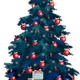 GIFT VOUCHER $50