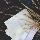 MEMORY-ASSIST - A New 2013 Formula which includes Our unique Ruby ~Red Gold